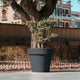 Round colored flower pot MAGNOLIA 30