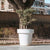 Round colored flower pot MAGNOLIA 30