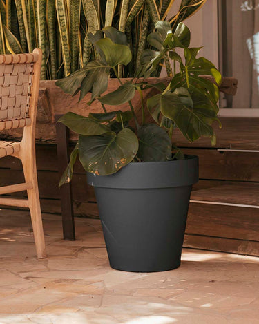 magnolia#tamaño_ø57x57 cm#Color del producto_antracita Opaco