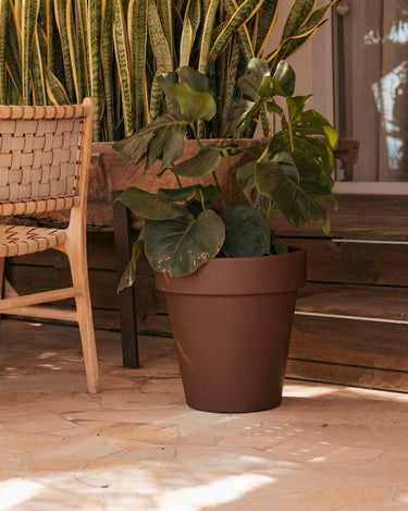 magnolia#tamaño_ø57x57 cm#Color del producto_bronce Opaco