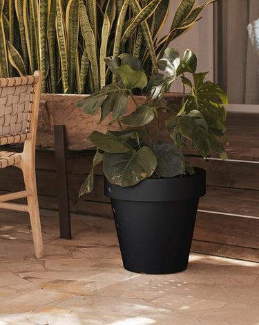 magnolia#tamaño_ø57x57 cm#Color del producto_negro Opaco