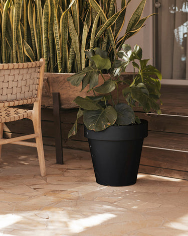 magnolia#tamaño_ø57x57 cm#Color del producto_negro Opaco