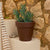 Round colored flower pot MAGNOLIA 30