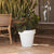 Round colored flower pot MAGNOLIA 30
