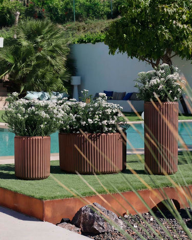 MARANTA#Color del producto_bronce Opaco