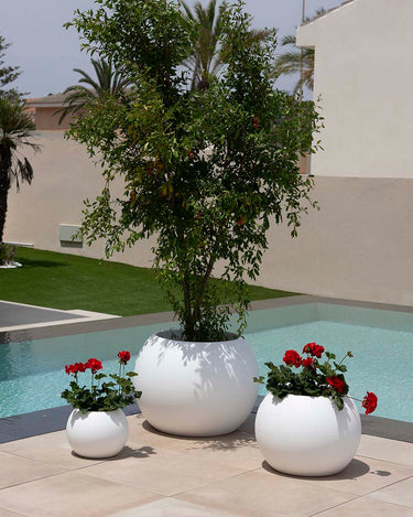 DALIA#color del producto_blanco Opaco