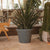 RUSTIC PINK 45 round flower pot
