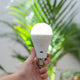 CHERRY rechargeable portable light bulb