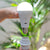 CHERRY rechargeable portable light bulb