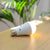 CHERRY rechargeable portable light bulb