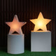 ESTRELLA NAVIDEÑA NOVA