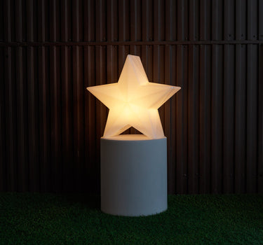 ESTRELLA NAVIDEÑA NOVA