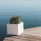 SQUARE NARCISO COLOR PLANTER 35