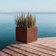 SQUARE NARCISO COLOR PLANTER 35