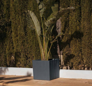 olivo#Tamaño_50 x 50 x 50 cm#Color del producto_Antracita Opaco