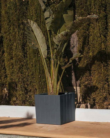 olivo#Tamaño_50 x 50 x 50 cm#Color del producto_Antracita Opaco