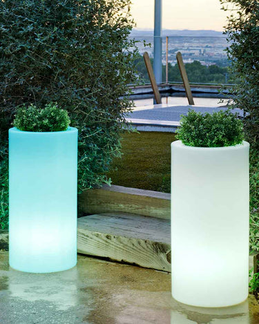 palma#Alimentación_SOLAR + BATERÍA RECARGABLE (USO INTERIOR Y EXTERIOR)#Luz_Colores RGB + Blanco frío, cálido y neutro