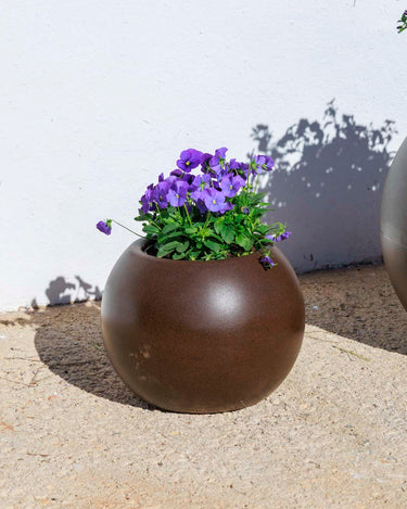 DALIA#tamaño_Dalia 30#color del producto_Bronce Opaco