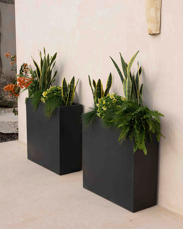 junco#Color del producto_negro opaco
