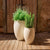 Macetero redondo ALOE 45 Color beige