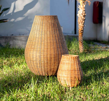 saona70