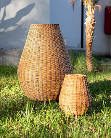 saona70