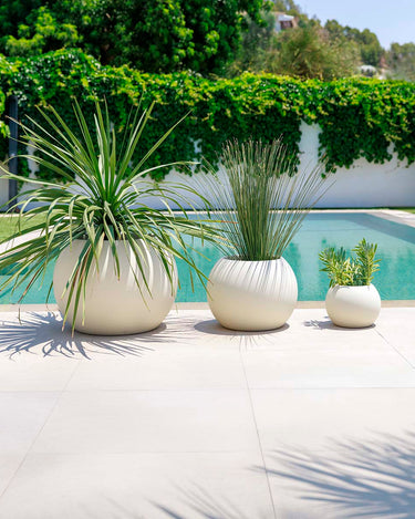 DALIA#color del producto_beige Opaco