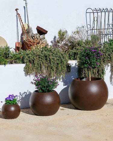 DALIA#color del producto_bronce Opaco