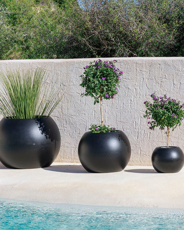 DALIA#color del producto_negro Opaco