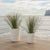 GERBERA 33 colored round flowerpot