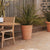 GERBERA 33 colored round flowerpot