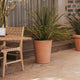 GERBERA 33 colored round flowerpot