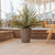 GERBERA 33 colored round flowerpot