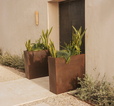 junco#Color del producto_bronce opaco