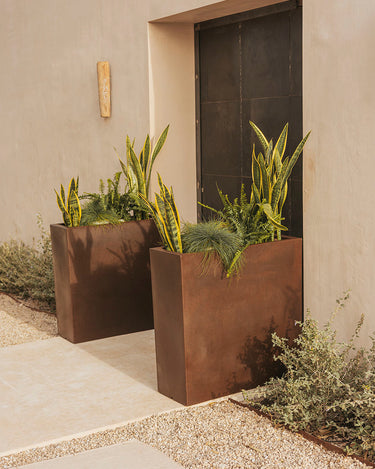 junco#Color del producto_bronce opaco