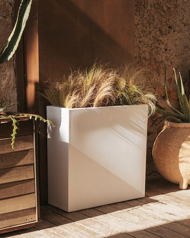 junco#Color del producto_blanco opaco