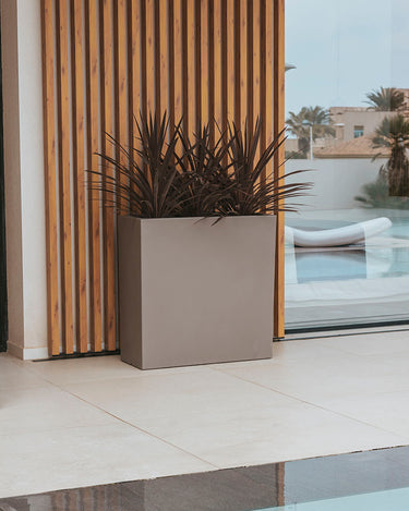 junco#Color del producto_topo opaco