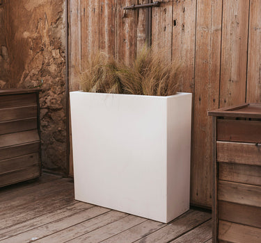 junco#Color del producto_blanco opaco