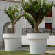 Round colored flower pot MAGNOLIA 30