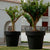 Round colored flower pot MAGNOLIA 30