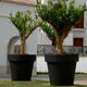 Round colored flower pot MAGNOLIA 30