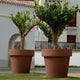 Round colored flower pot MAGNOLIA 30