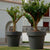 Round colored flower pot MAGNOLIA 30