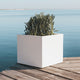SQUARE NARCISO COLOR PLANTER 35