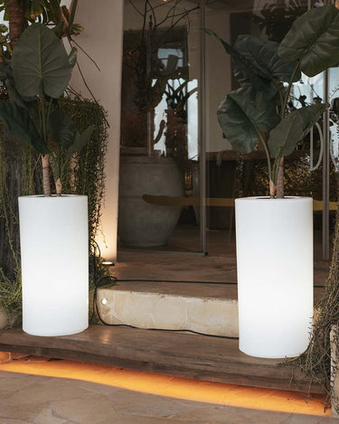 palma#Alimentación_Cable (Uso exterior e interior)#Luz_Blanco frío