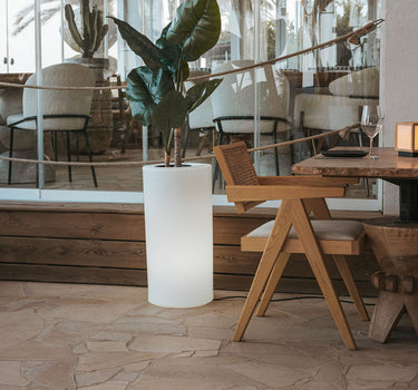palma#Alimentación_Cable (Uso exterior e interior)#Luz_Blanco frío