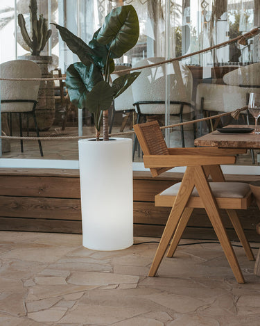 palma#Alimentación_Cable (Uso exterior e interior)#Luz_Blanco frío