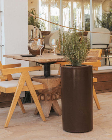 palma#Color del producto_Bronce