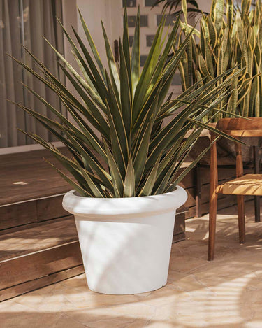 rosa#Tamaño_ø55x43 cm#Color del producto_Blanco Opaco