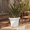 rosa#Tamaño_ø55x43 cm#Color del producto_Blanco Opaco